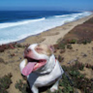 Meet your Posher, Terri